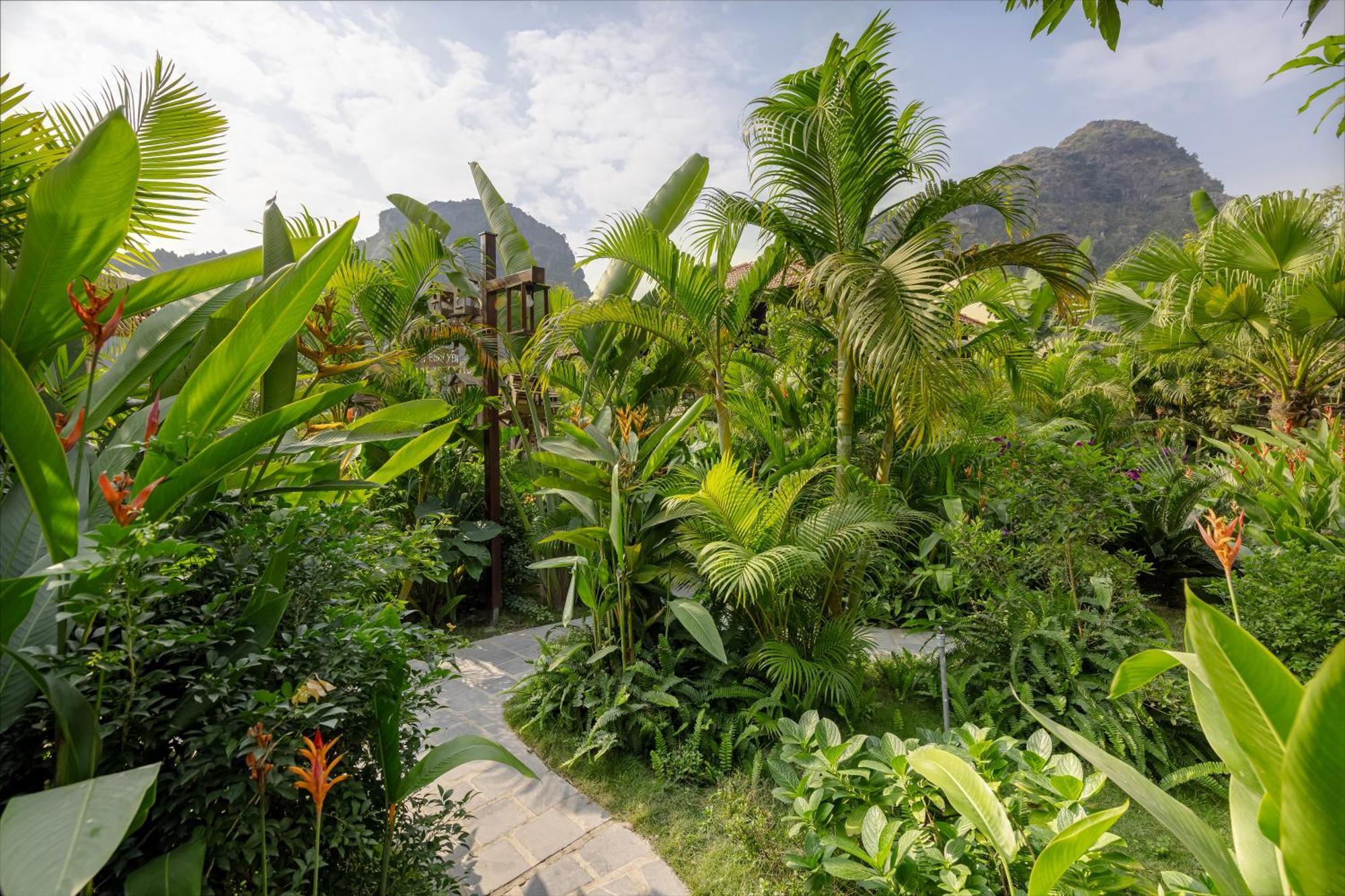 Scenic Mountain Ecolodge Ninh Bình Exteriör bild